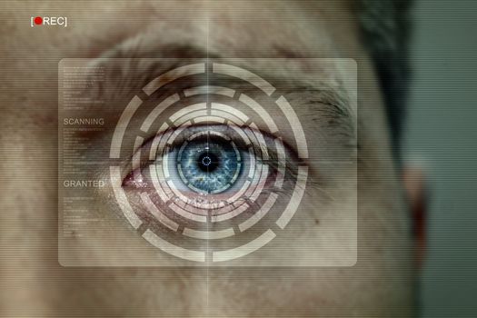 Security recognition screen showing an eye scanned and having realistic dirt on it-NOTE:Texture was added to simulate a dirty screen