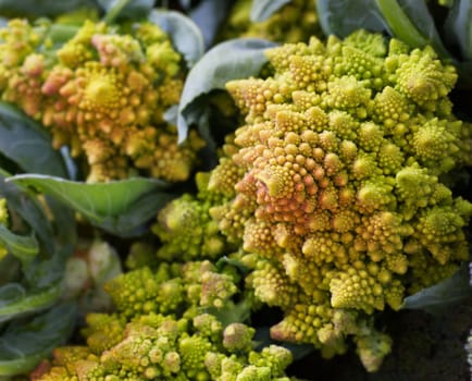 Piles of fractal spiral shaped romanon Broccoli at the Farmers market