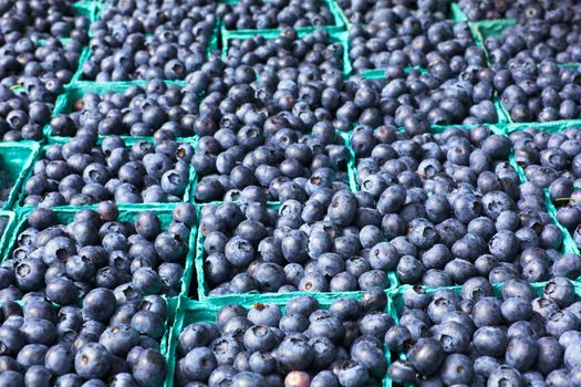 Many boxes of blueberries with soft background at the Farmers Market