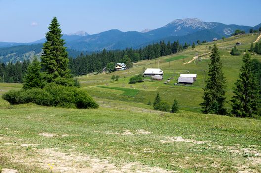 mountain summer landscape with blue sky