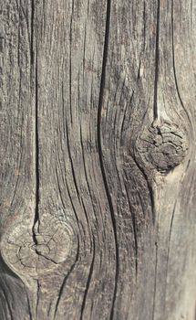 Old wooden texture background black and white