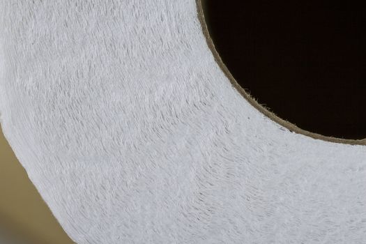 Details of Toilet Paper