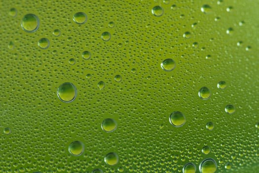 Water Drops