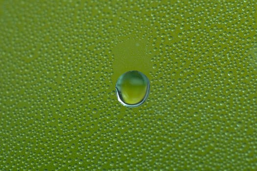 Water Drops