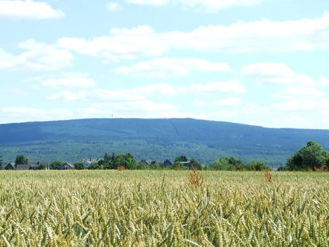 Idarwald in Rheinland-Pfalz von Norden gesehen
