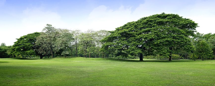 Panorama scenery of park, Thailand