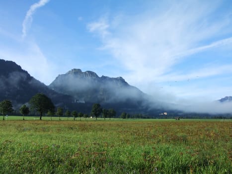 der Schwangau bei Füssen im Morgennebel