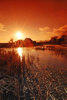 Golden sunset in the Czech country with a pond and reed