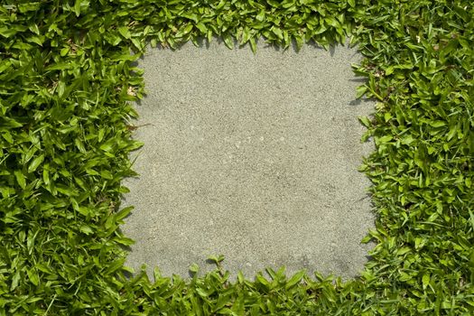 Close up of Stone Pathway