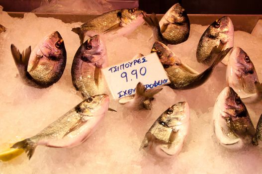 Fresh fish arrangement displayed on the fish market on Crete Island, Greece