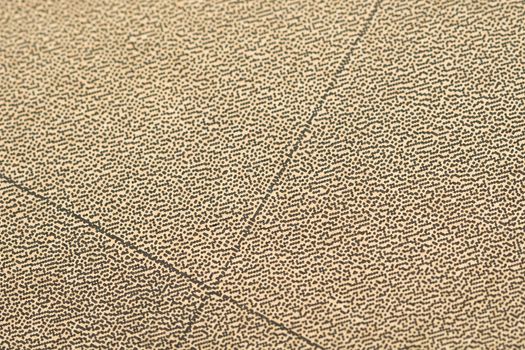 Lines on the Cardboard