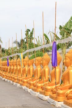 a row of golden buddha statue