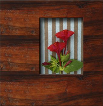 background wooden frame with fresh flowers and copy space