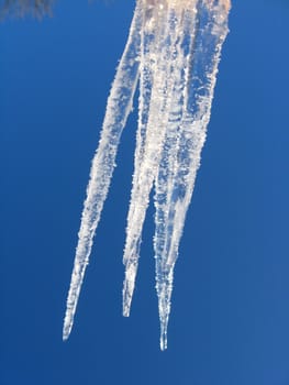 icicles on a background of the blue sky