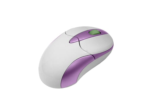 Computer mouse