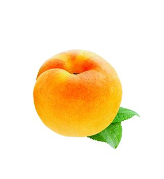 Nectarine isolated on white background
