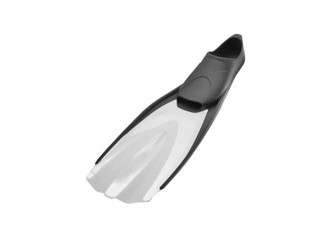 Flippers isolated on the white background