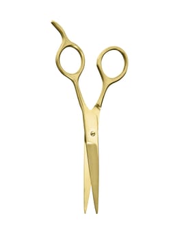 a pair of golden vintage scissors