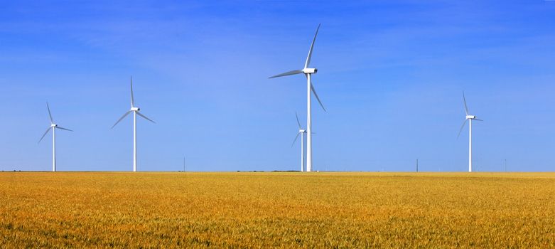 Wind turbines in a weat field.