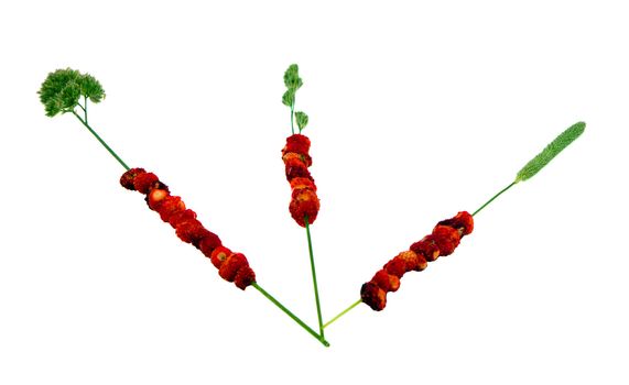 Wild forest strawberries string on bent wisp isolated on white background.