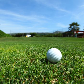 golf-ball on course