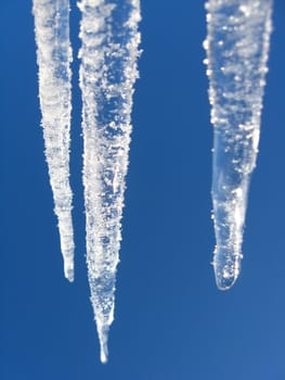 icicles on a background of the blue sky