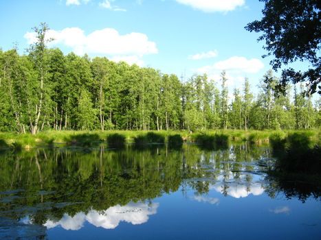 Landscape on a background of the river