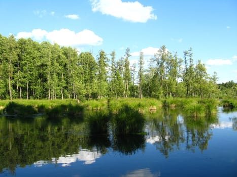 Landscape on a background of the river