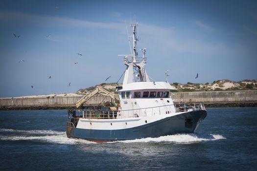 Fishing boat returning with lots of seagulls feeding at the rear of the boat