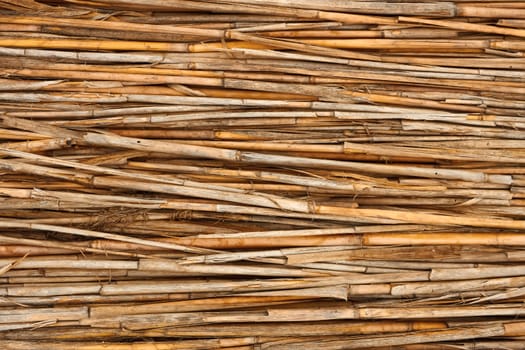 Detail of reed fence as a texture