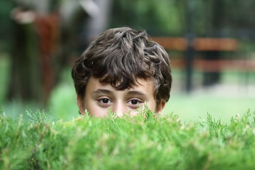 Boy spying on through the hedge