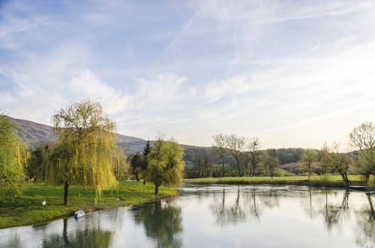 Scenic view on Krka river with blue canoe and a swan.