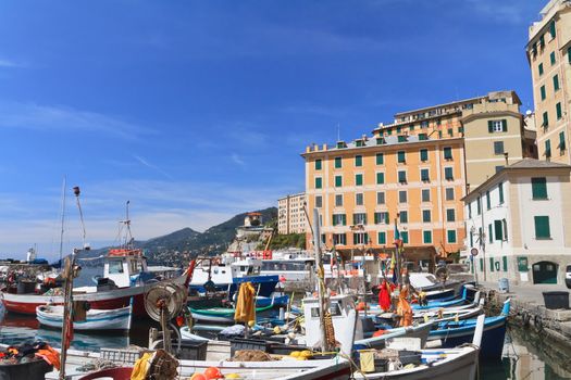 typical small port with fishing boats in Camogli, Italy