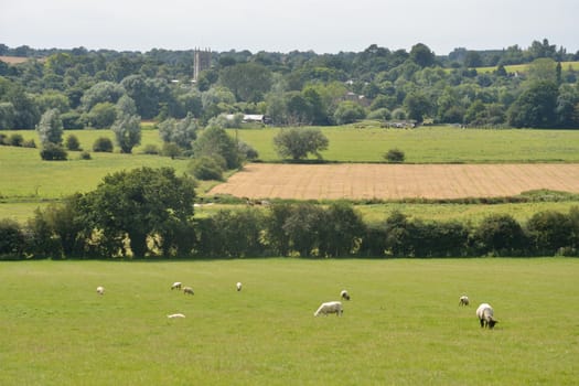 Landscape of suffolk east anglia england