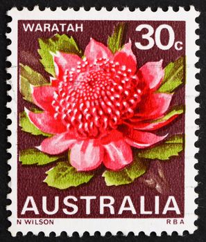 AUSTRALIA - CIRCA 1968: a stamp printed in the Australia shows Waratah, New South Wales, State Flower, circa 1968