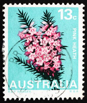 AUSTRALIA - CIRCA 1968: a stamp printed in the Australia shows Pink Heath, Victoria, State Flower, circa 1968