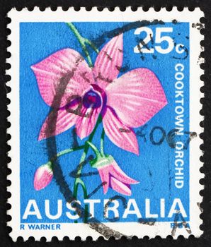 AUSTRALIA - CIRCA 1968: a stamp printed in the Australia shows Cooktown Orchid, Queensland, State Flower, circa 1968