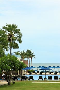 Deckchairs and swimming pool near the sea