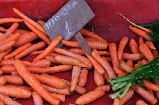 Carrots priced at 1 euro for sale at grocery store. Vegetables background.