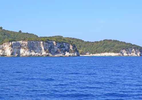 Sea rocky coast overgrown with the wood