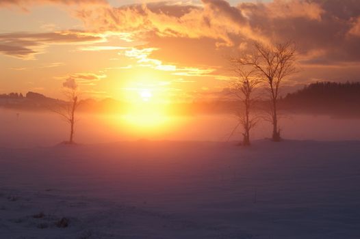 a romantic misty winter golden orange sunset