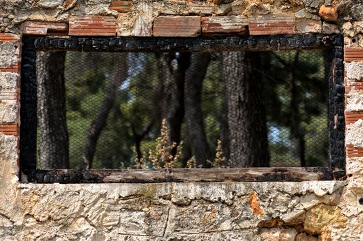 Burned wooden window frame with view to a forest and old brick wall background.