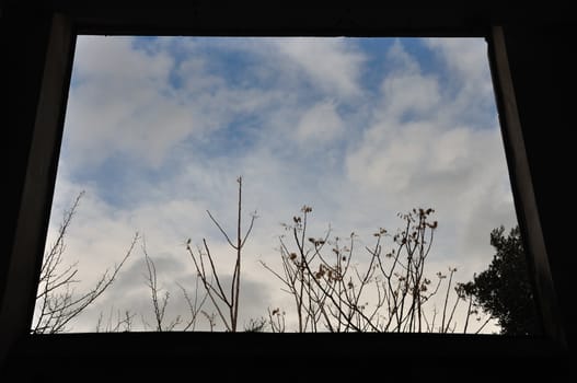 View to nature scene through window frame in dark interior. Trees and winter sky.