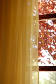 Yellow curtains and stained glass window view to abstract nature scene. 