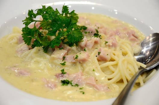 Spaghetti with cream sauce in white dish