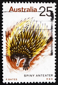 AUSTRALIA - CIRCA 1974: a stamp printed in the Australia shows Spiny Anteater, Echidna, Tachyglossidae, Animal,  circa 1974