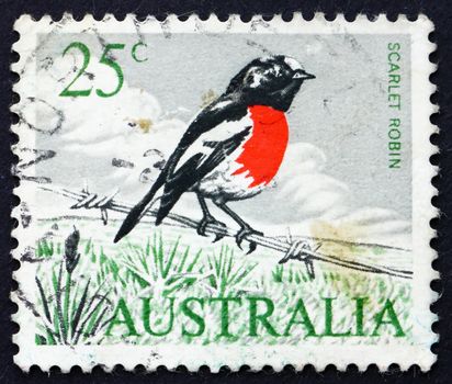 AUSTRALIA - CIRCA 1966: a stamp printed in the Australia shows Scarlet Robin, Petroica Boodang, Passerine Bird, circa 1966
