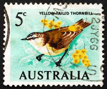 AUSTRALIA - CIRCA 1966: a stamp printed in the Australia shows Yellow-Tailed Thornbill, Acanthiza Chrysorrhoa, Bird, circa 1966