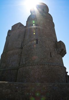 Fort on the Island of Tatihou France in the Sun