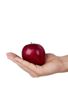 Red delicious apple in a hand isolated on a white background.